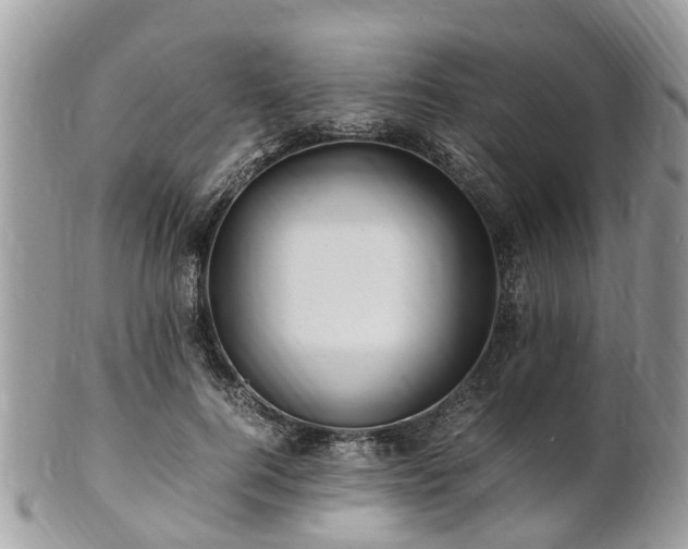 X0000101170744200807071221