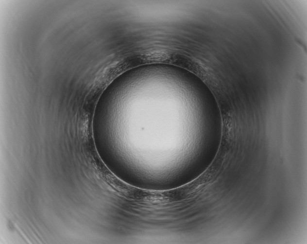 X0000101170745200807071221