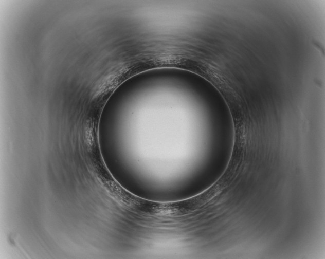 X0000101170746200807071221