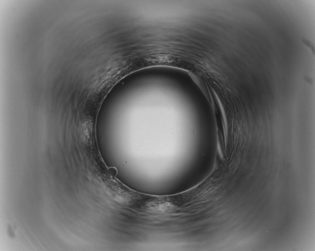 X0000101170747200807071221