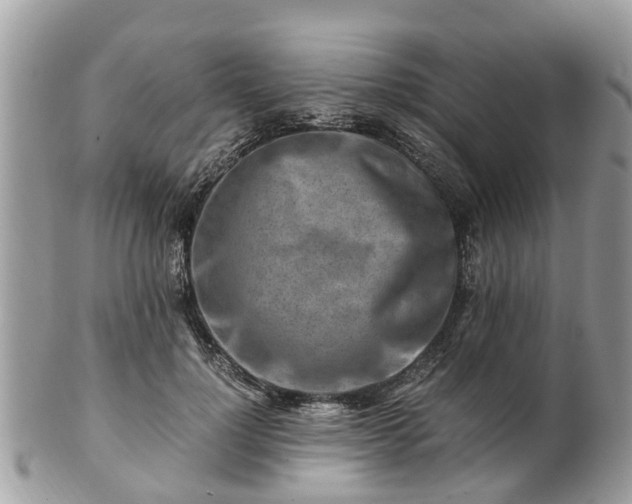 X0000101170748200807071221