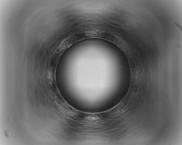 X0000101170749200807071221
