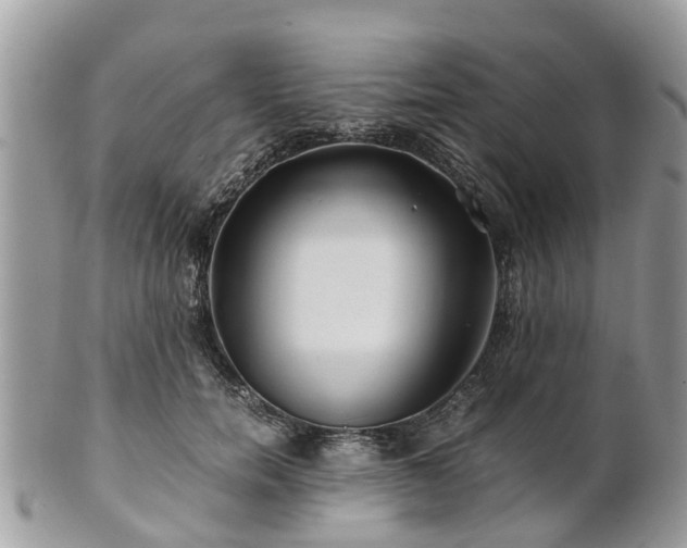 X0000101170750200807071221
