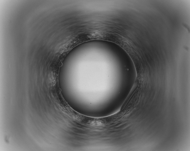 X0000101170751200807071221