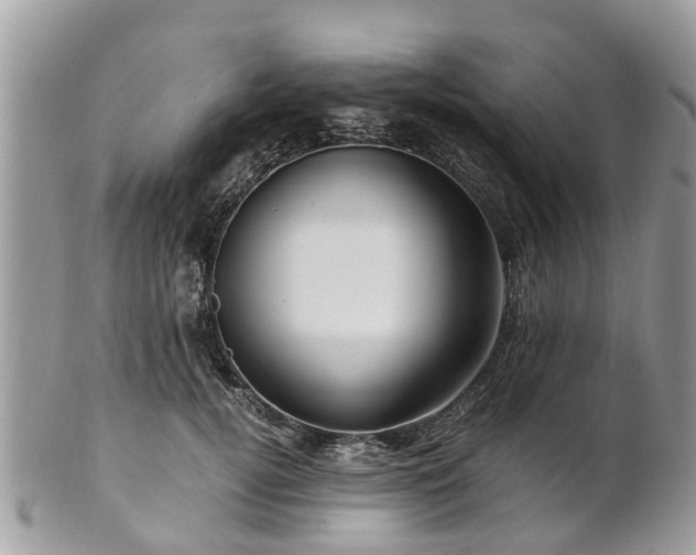 X0000101170752200807071221