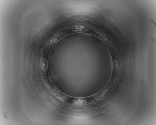 X0000101170754200807071221