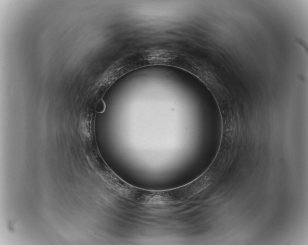 X0000101170755200807071221