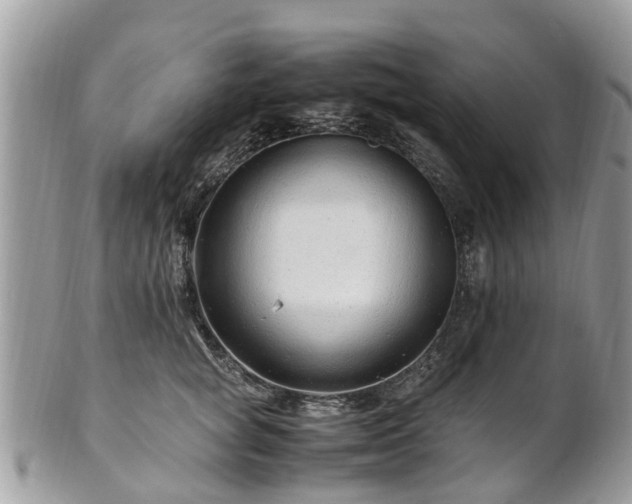 X0000101170757200807071221
