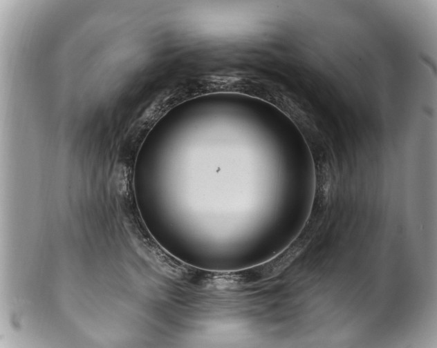 X0000101170758200807071221