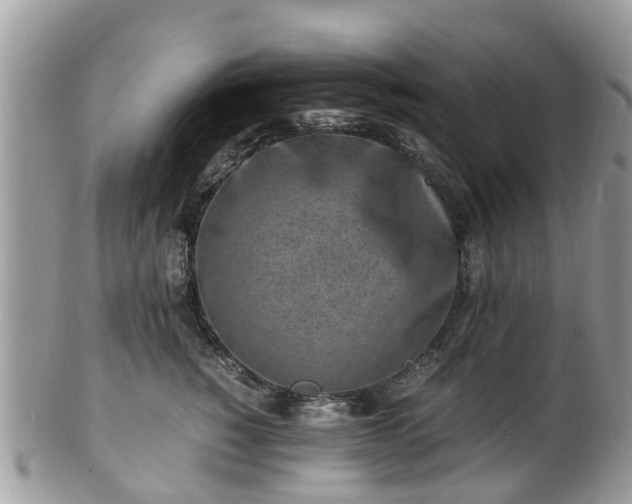 X0000101170760200807071221