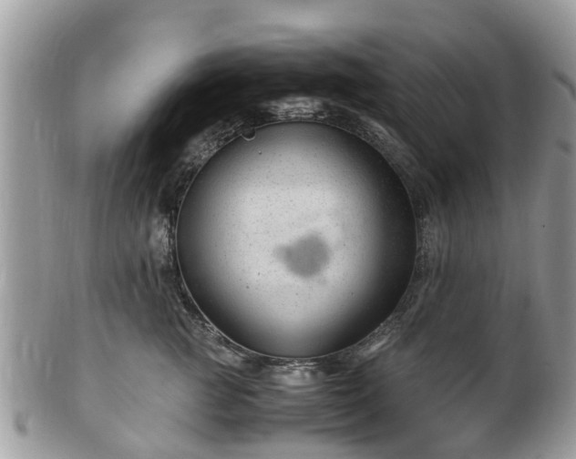 X0000101170761200807071221