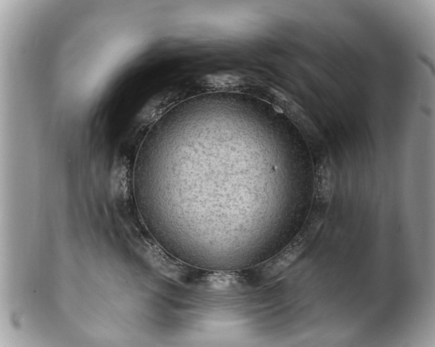 X0000101170762200807071221