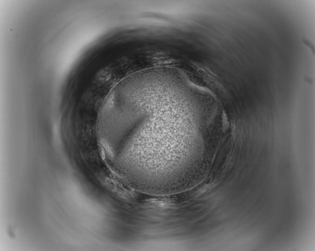 X0000101170763200807071221