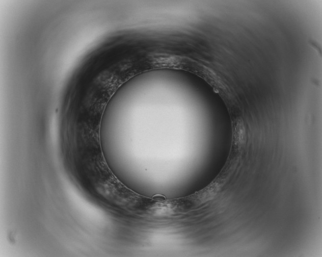 X0000101170764200807071221