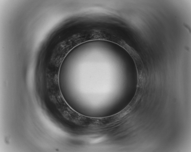 X0000101170765200807071221