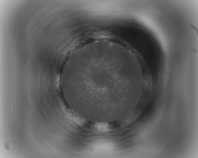 X0000101170767200807071221