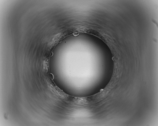 X0000101170768200807071221