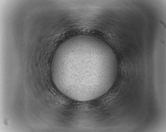 X0000101170769200807071221