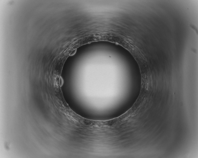 X0000101170770200807071221