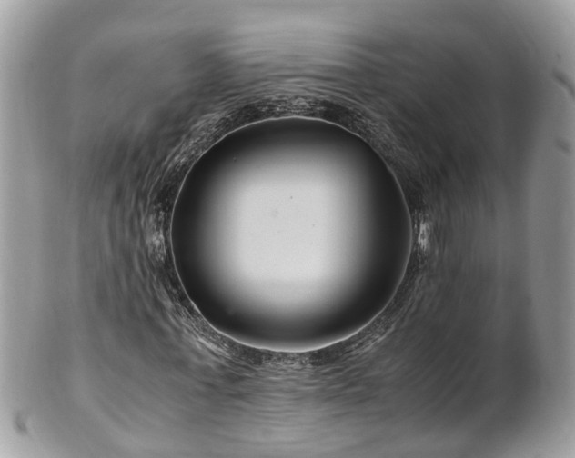X0000101170771200807071221