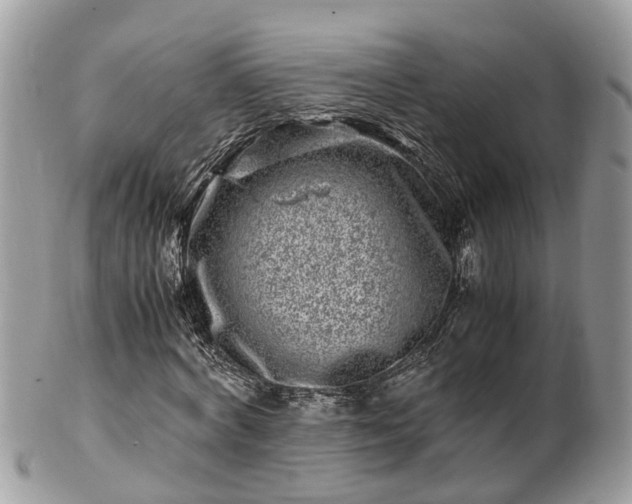 X0000101170772200807071220