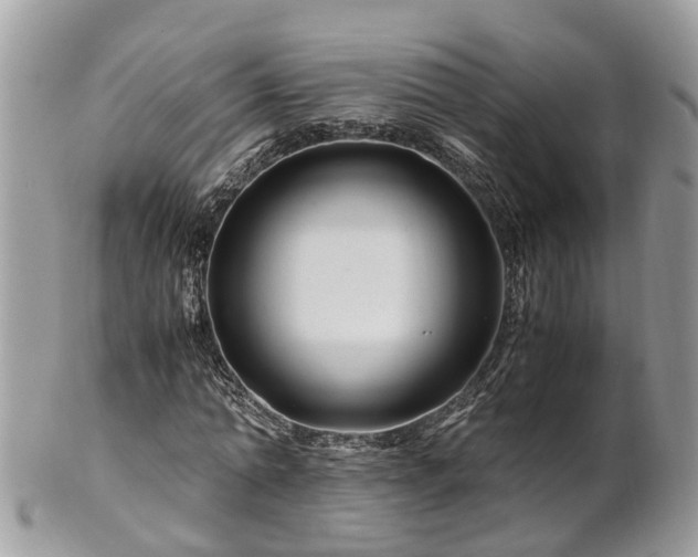 X0000101170774200807071220
