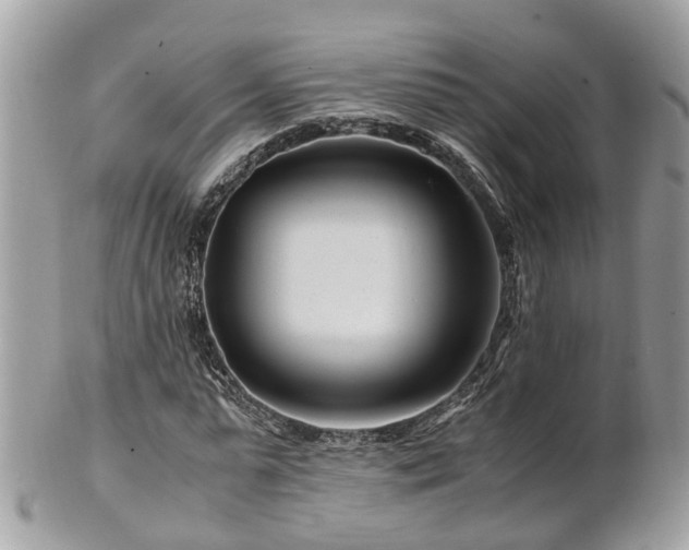 X0000101170775200807071220