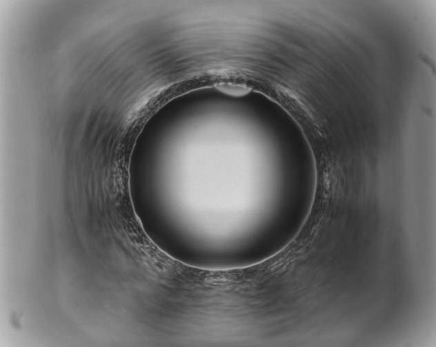 X0000101170776200807071220