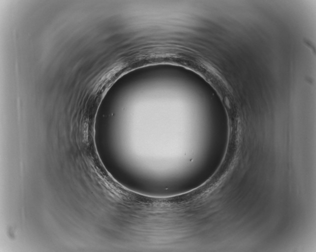 X0000101170777200807071220