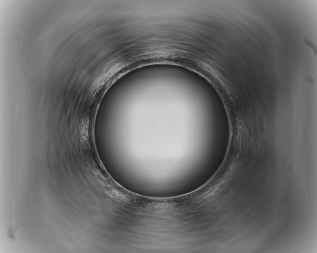 X0000101170778200807071220