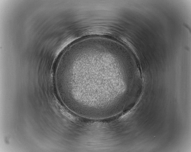 X0000101170779200807071220
