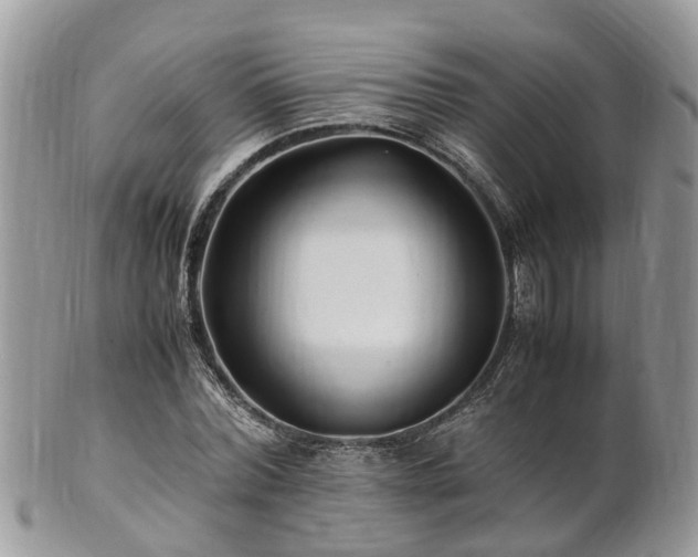 X0000101170780200807071220