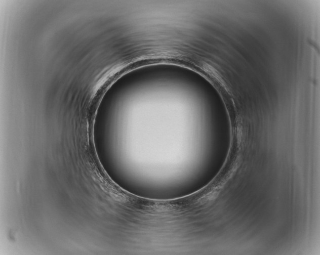 X0000101170781200807071220