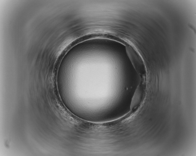 X0000101170783200807071220