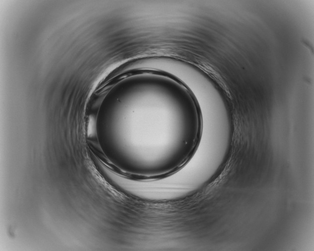 X0000101170784200807071220