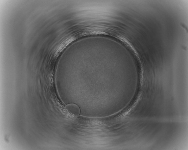 X0000101170785200807071220