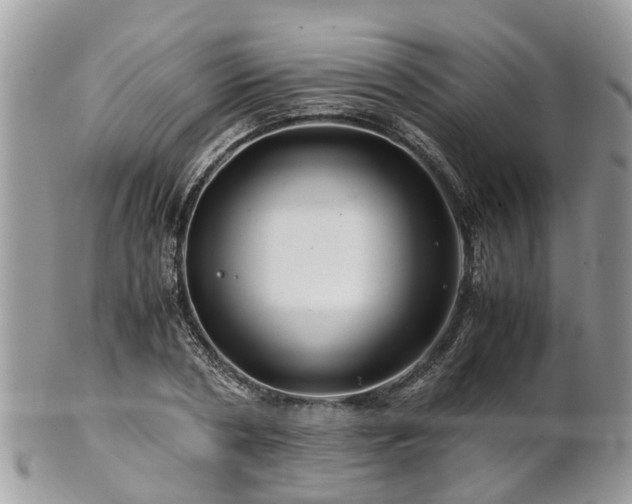 X0000101170786200807071220
