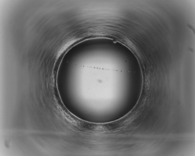 X0000101170787200807071220