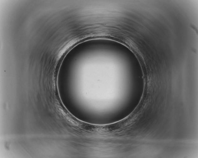 X0000101170789200807071220