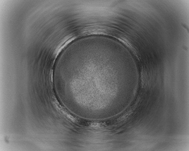 X0000101170790200807071220