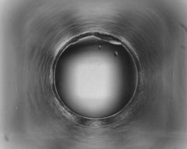 X0000101170791200807071220