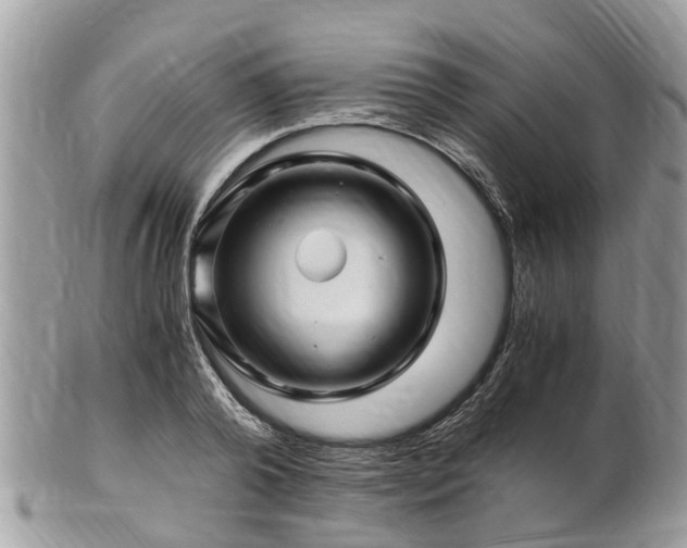 X0000101170792200807071220