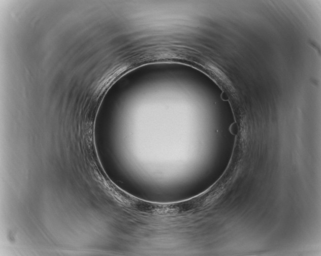 X0000101170793200807071220