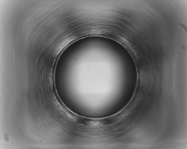X0000101170794200807071220