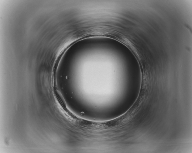 X0000101170795200807071220