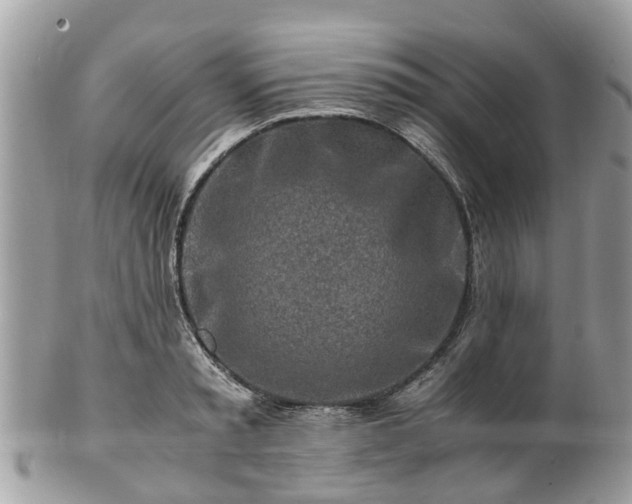 X0000101170797200807071220