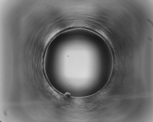 X0000101170799200807071220