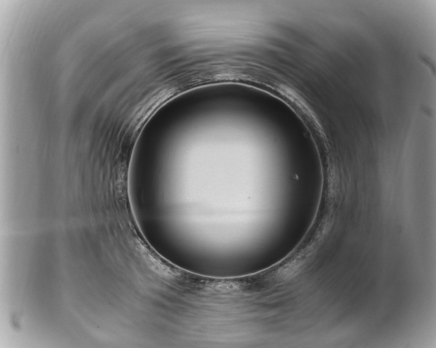 X0000101170801200807071220