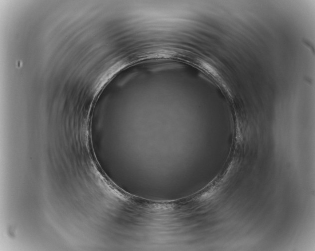 X0000101170802200807071220
