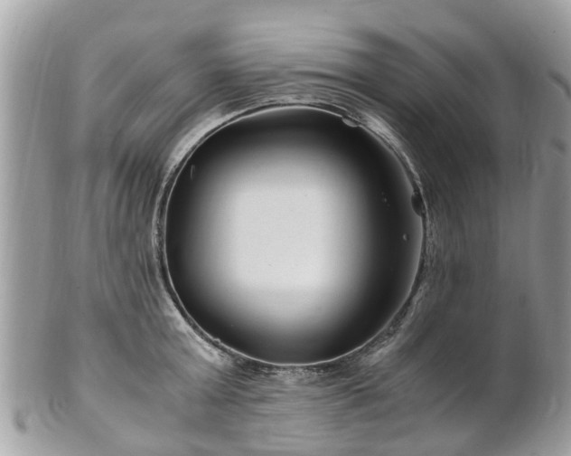 X0000101170803200807071220